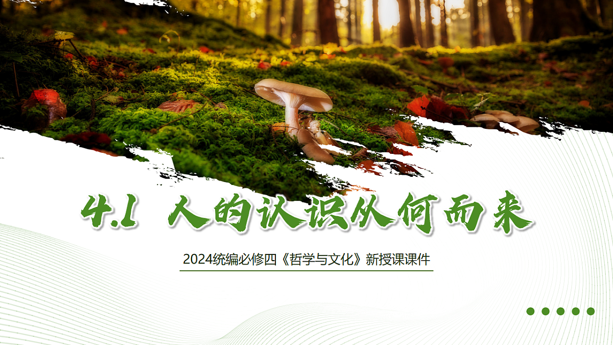 17577559第1页