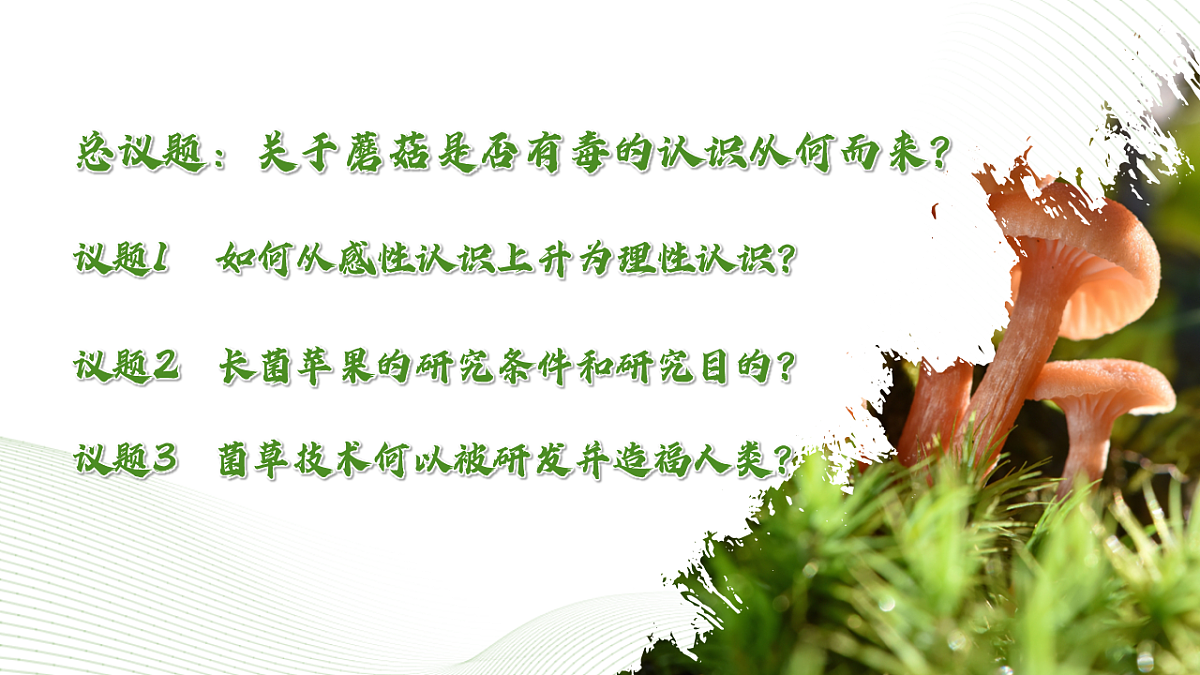 17577559第3页