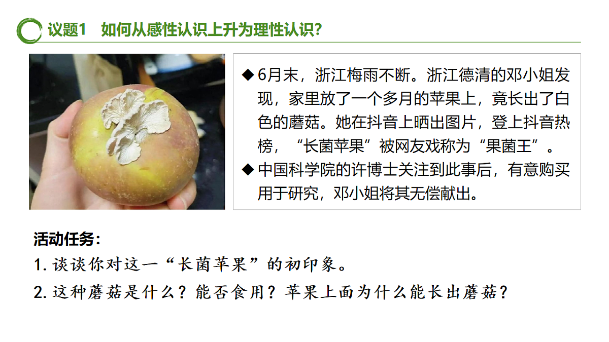 17577559第4页