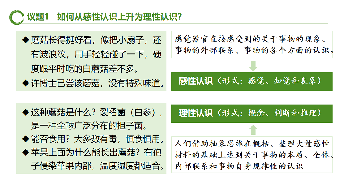 17577559第5页