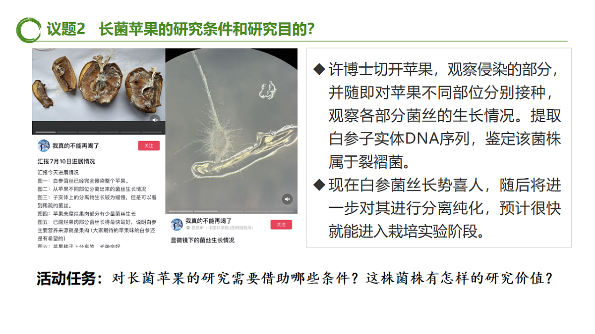 17577559第7页