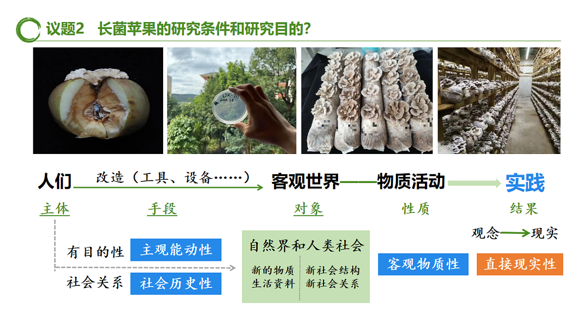 17577559第8页