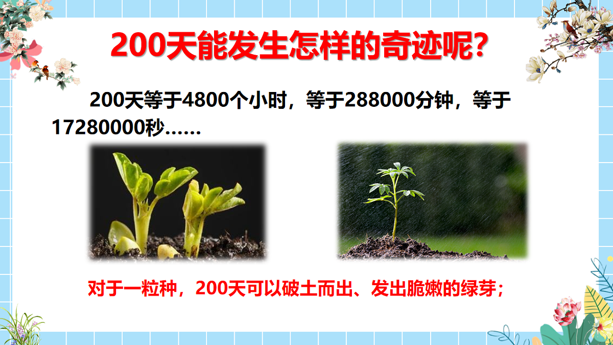 17577674第3页