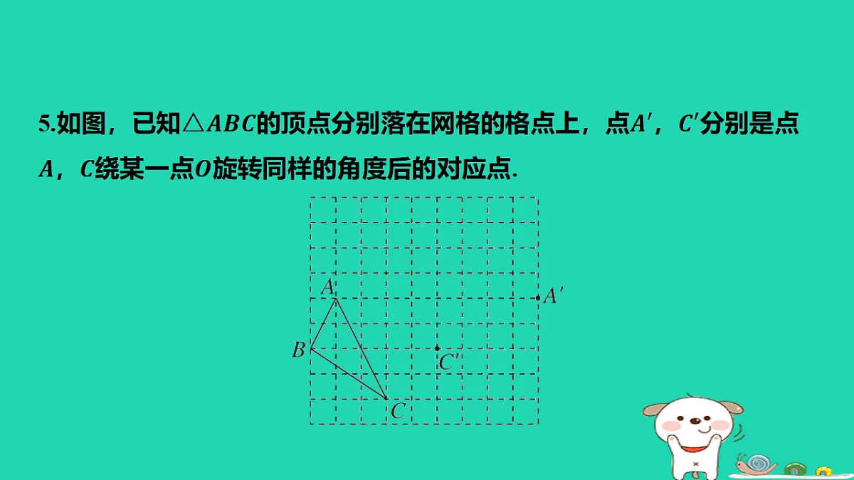 17577729第6页