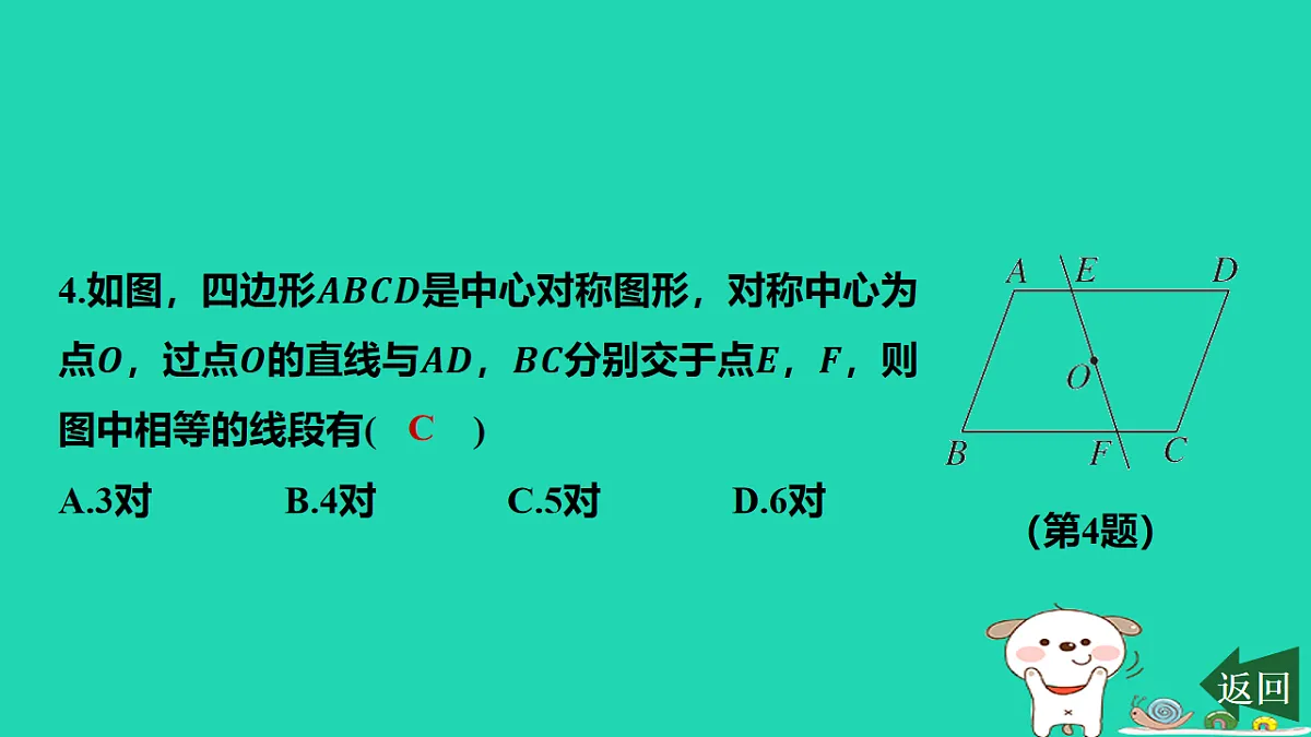 17577731第5页