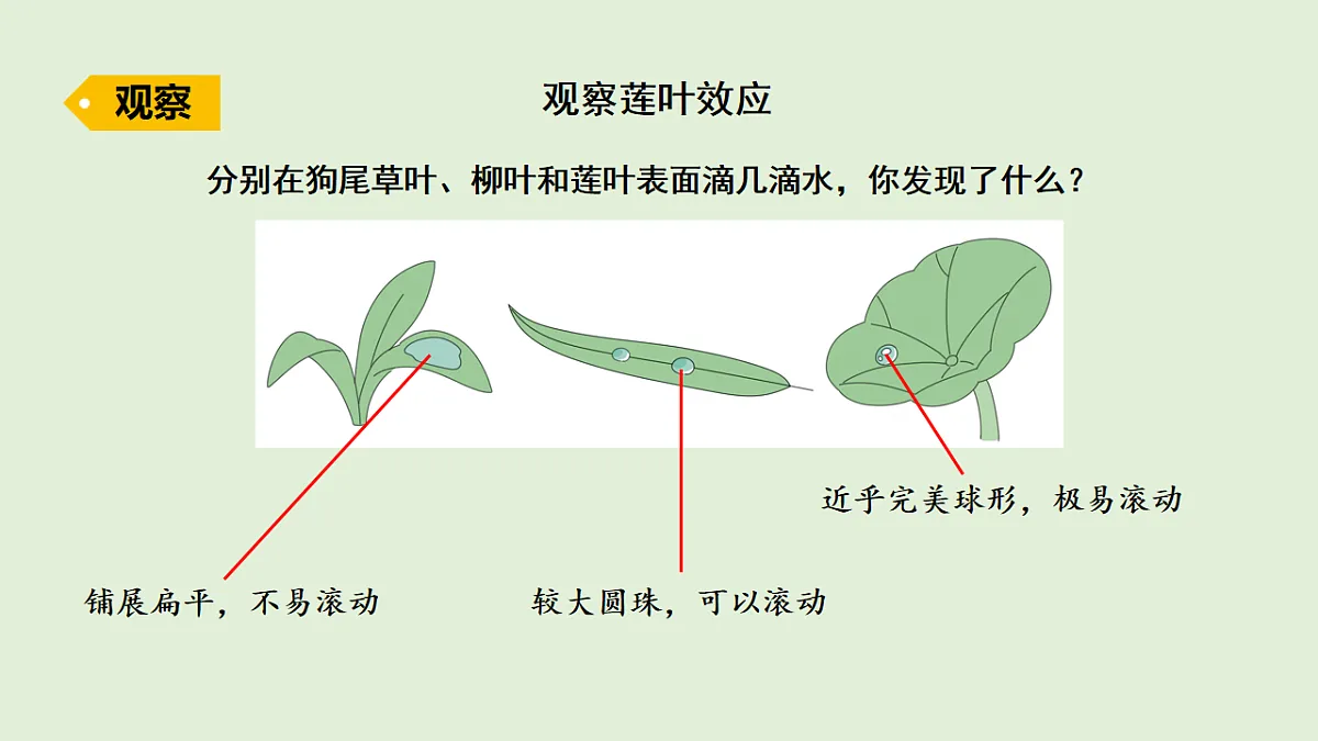 17577960第3页