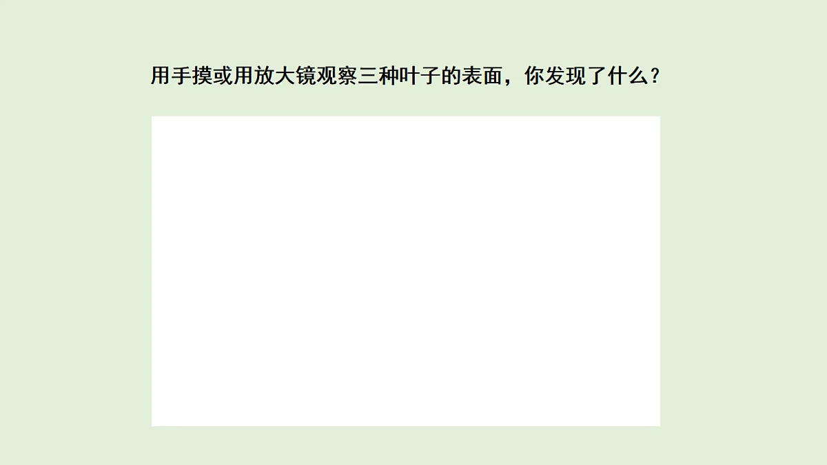 17577960第4页