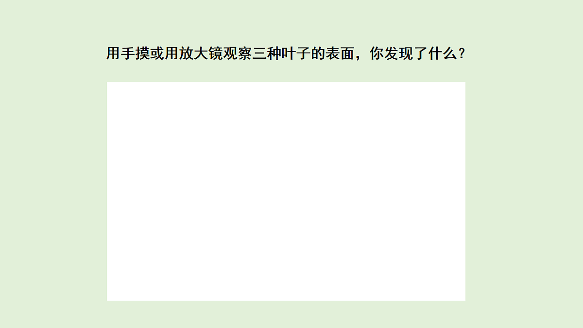 17577960第4页