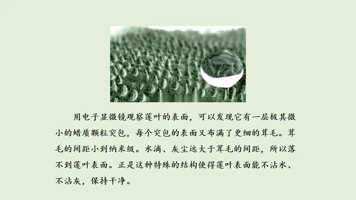 17577960第5页