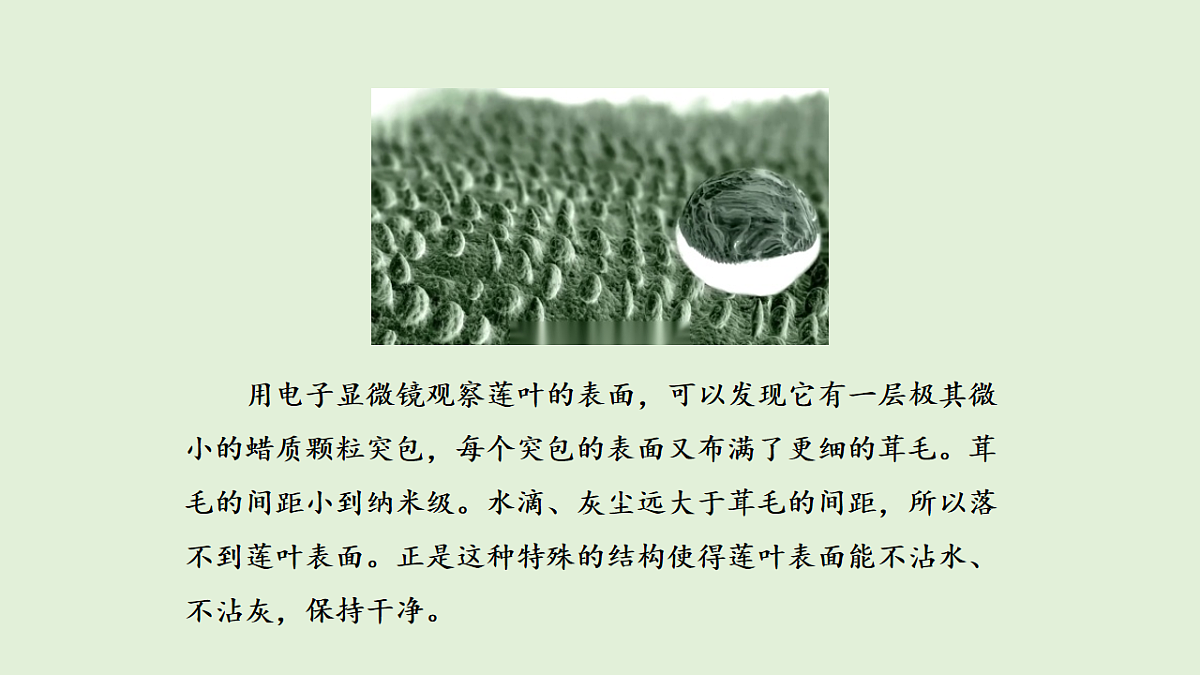 17577960第5页