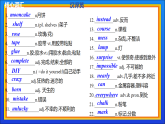 Unit 4 Hands-on fun  (复习课件）初中英语译林版2024八年级上册
