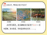 3.12 《珍惜水资源》课件 2025-2026学年三年级科学上册苏教版
