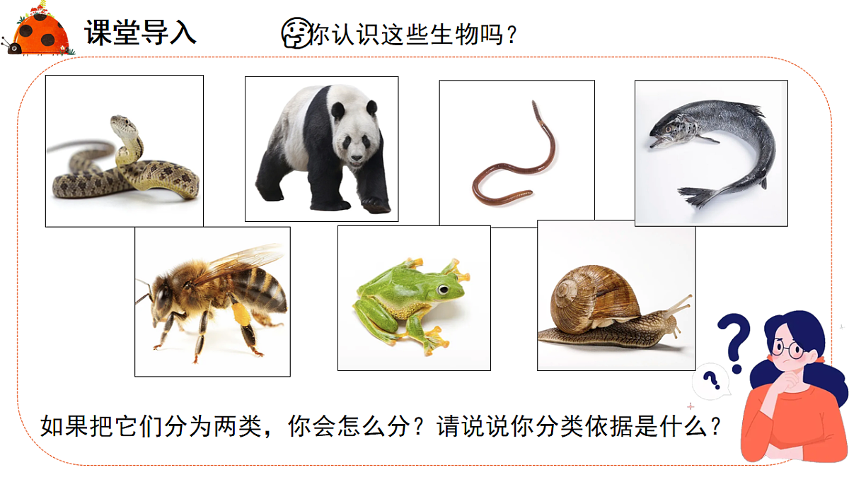 17579487第3页