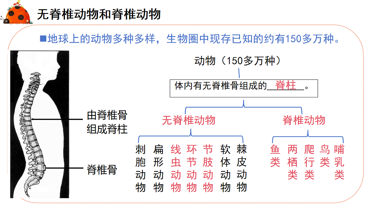 17579487第5页