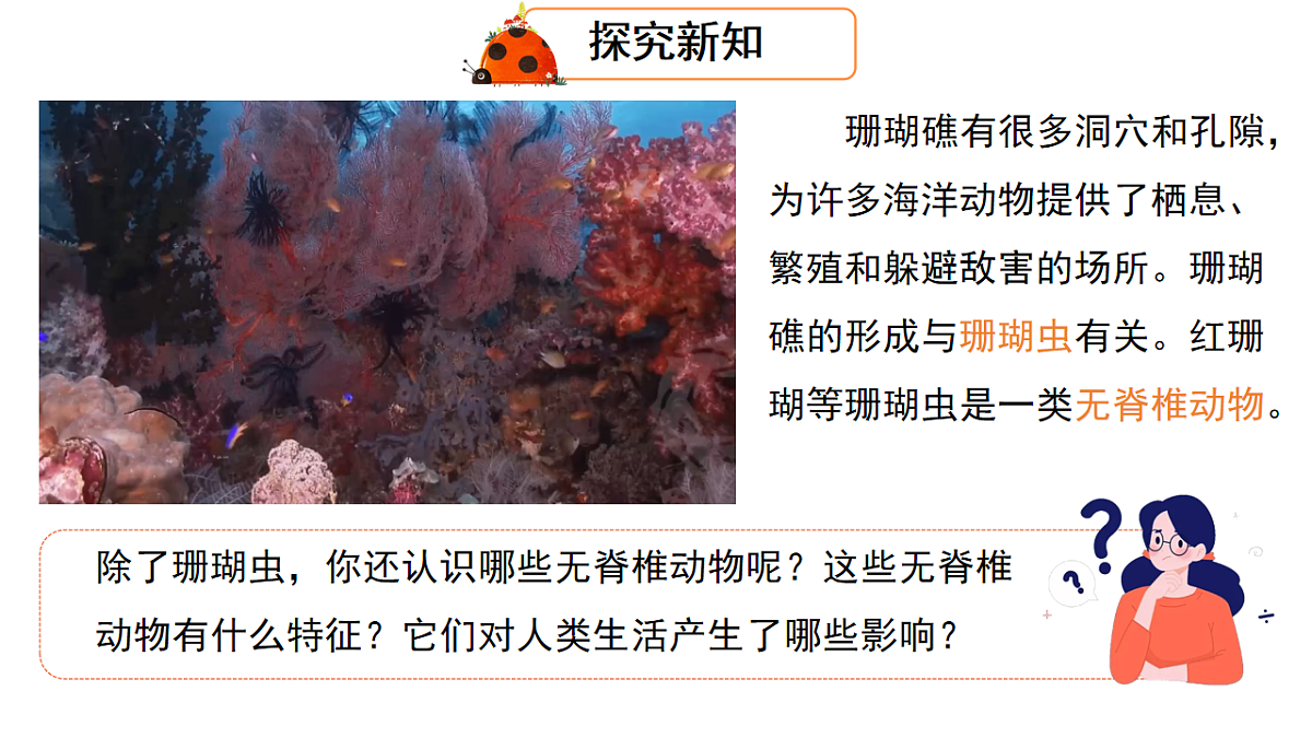 17579487第6页
