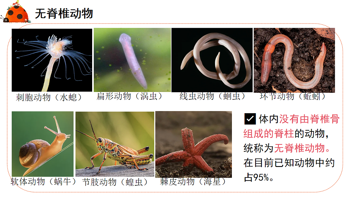 17579487第7页