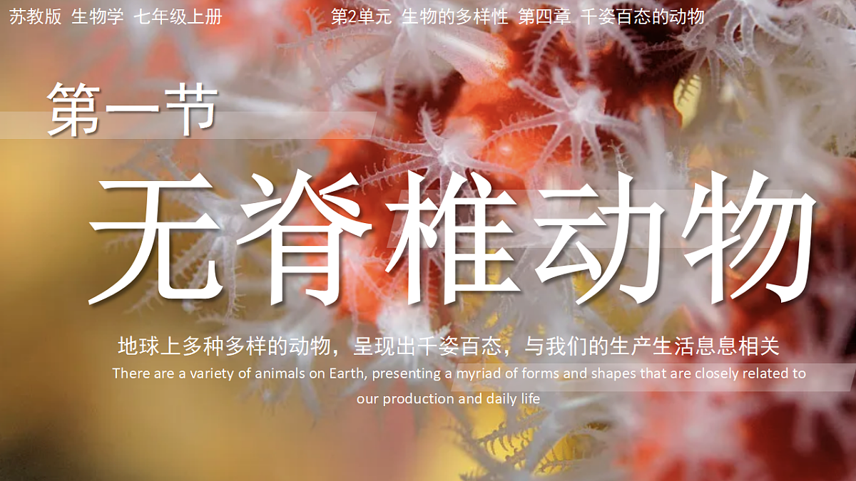 17579491第1页