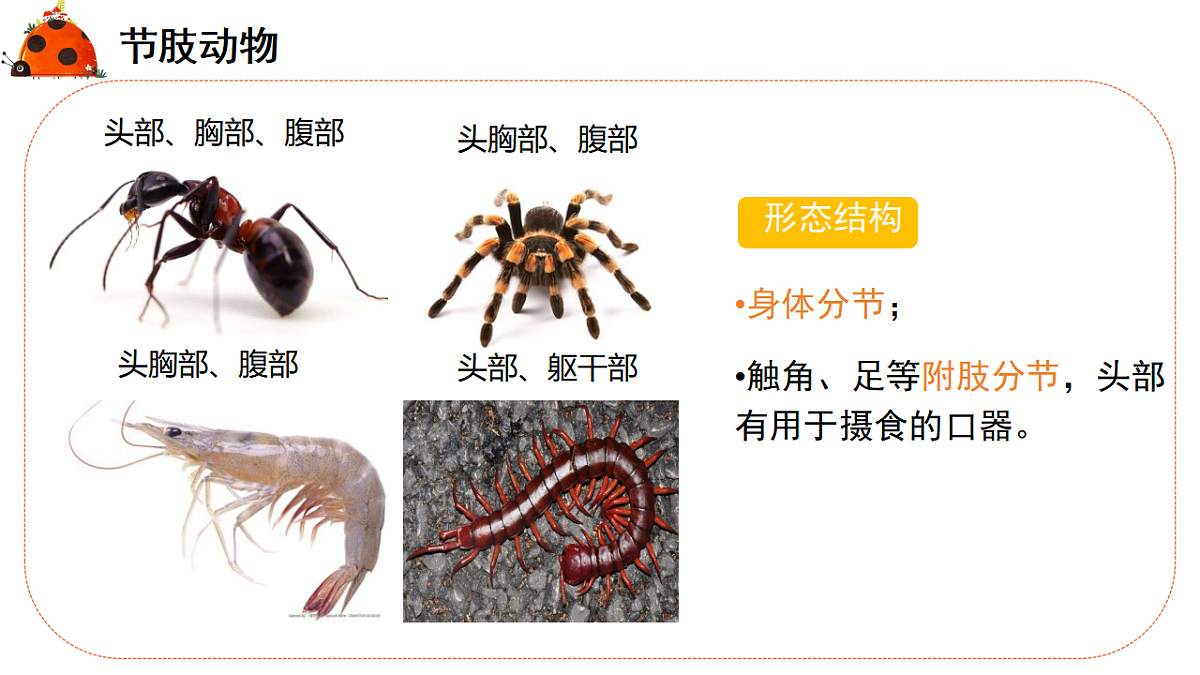 17579491第4页