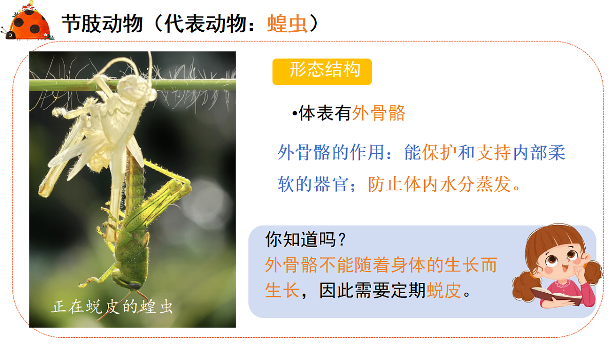 17579491第5页