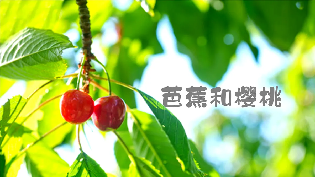 17579840第1页