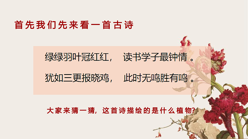 17579846第4页