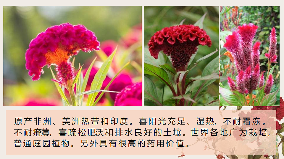17579846第6页