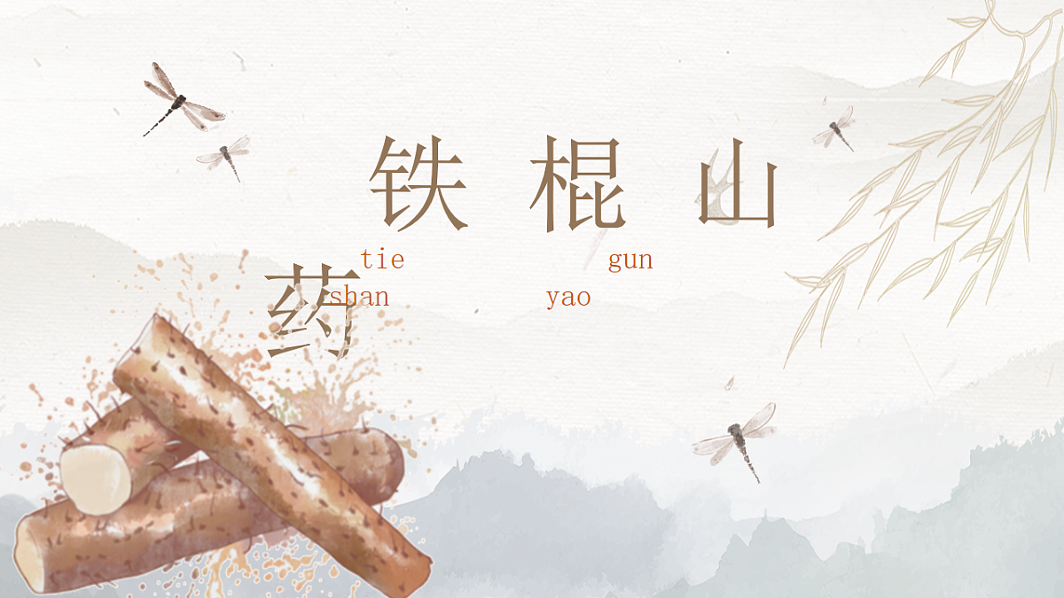 17579847第1页
