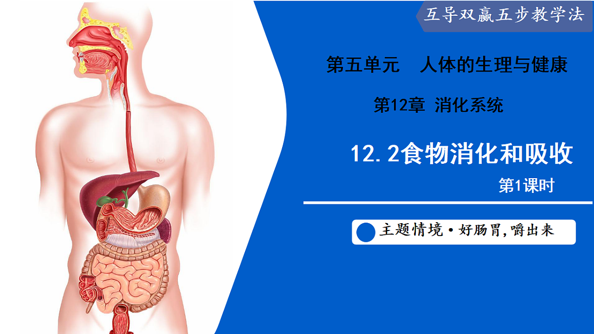 17580837第2页
