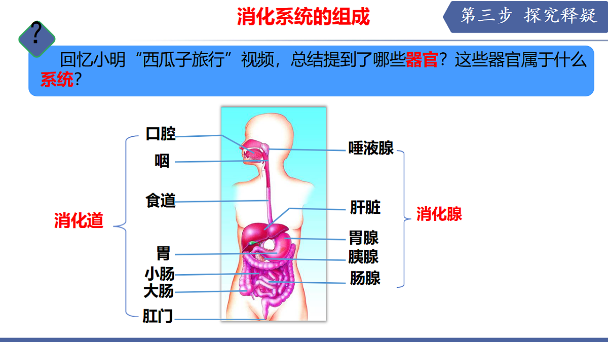 17580837第5页