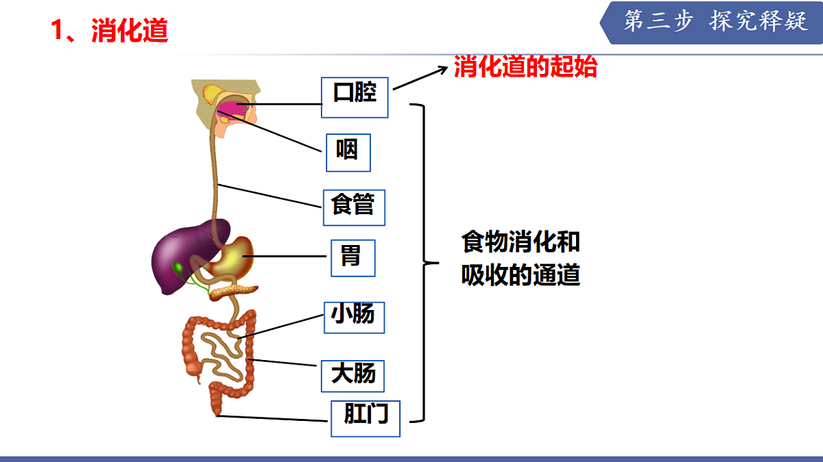 17580837第7页