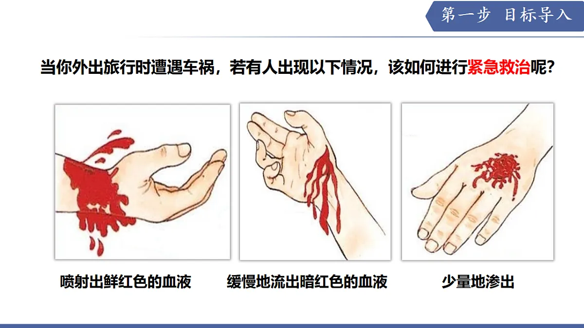 17580840第2页