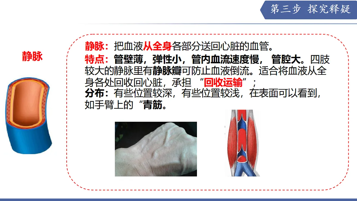 17580840第7页