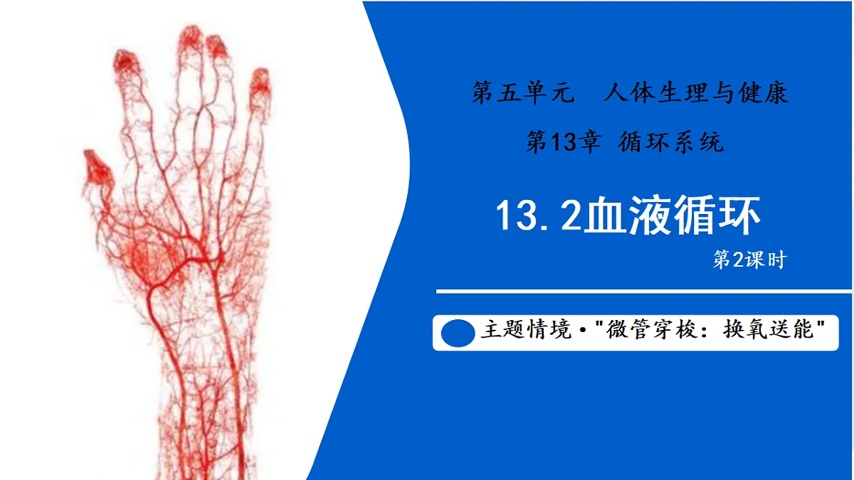 17580842第1页