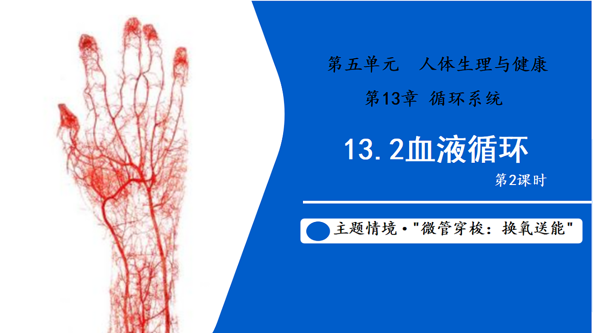 17580842第1页