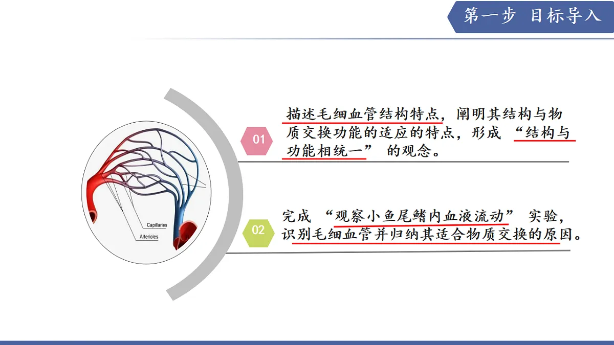 17580842第3页