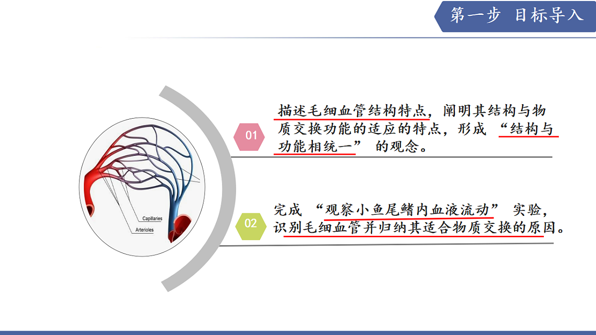 17580842第3页