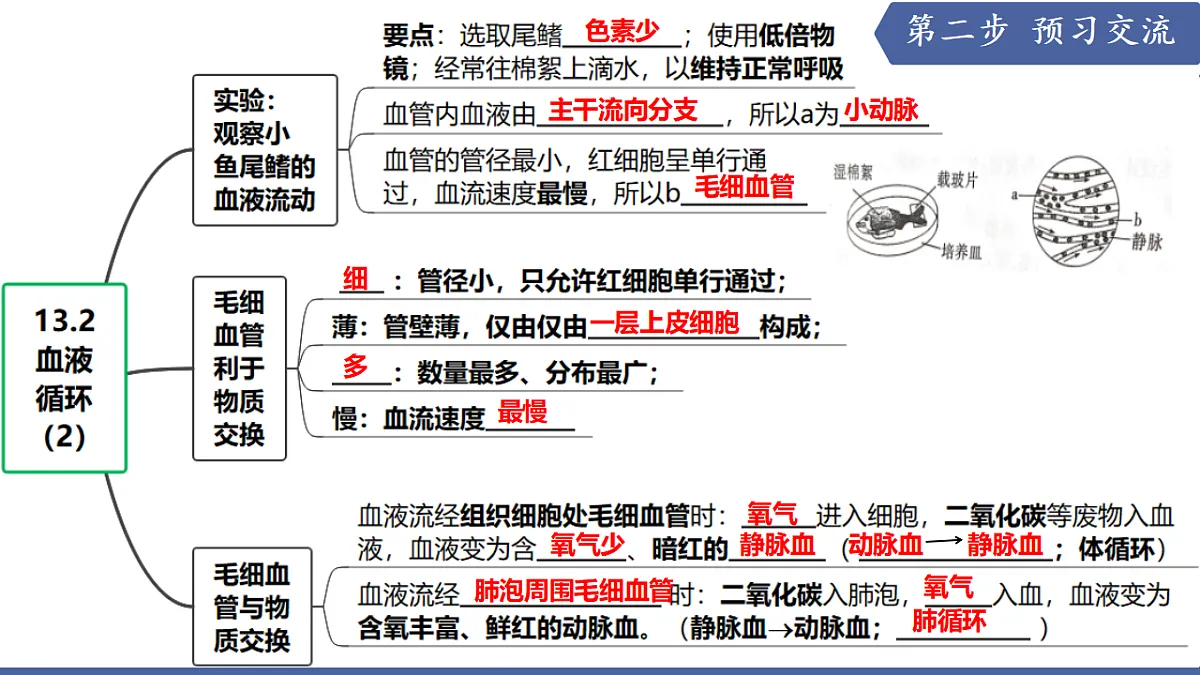 17580842第4页