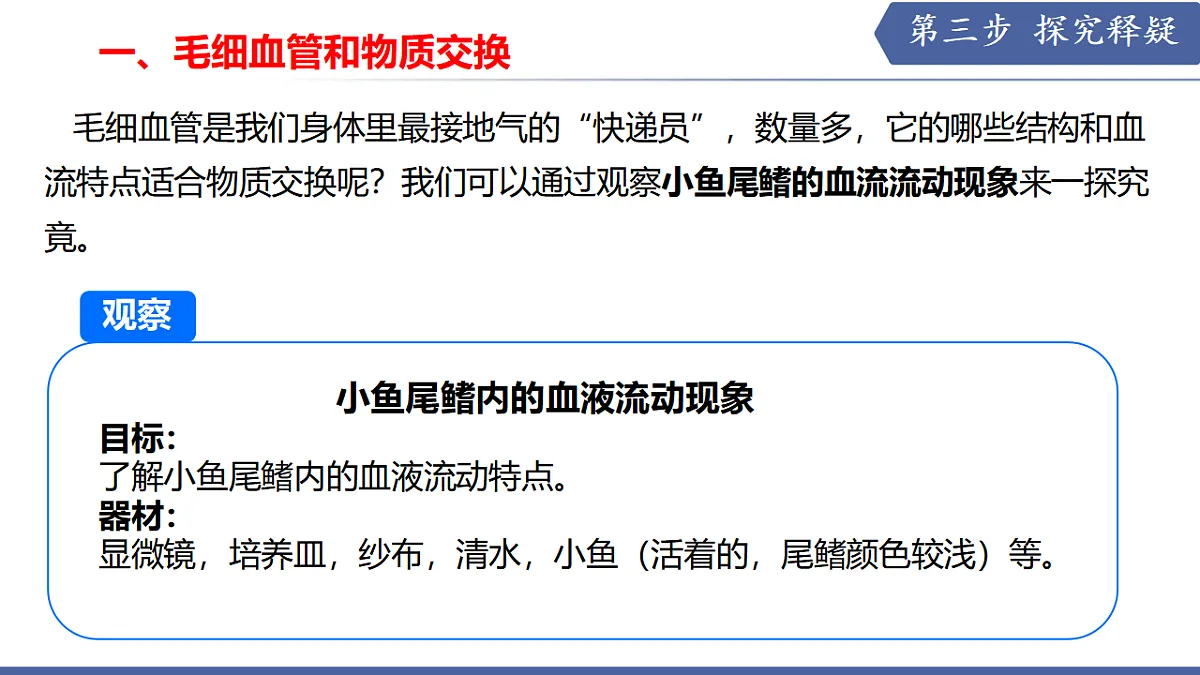 17580842第5页