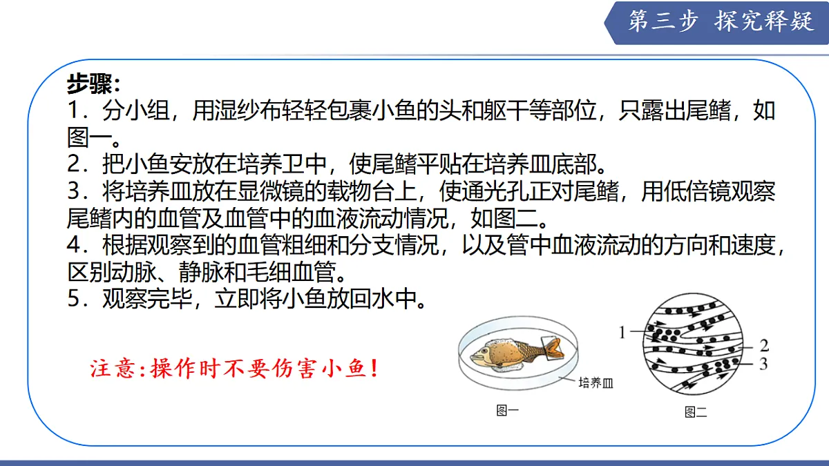 17580842第6页