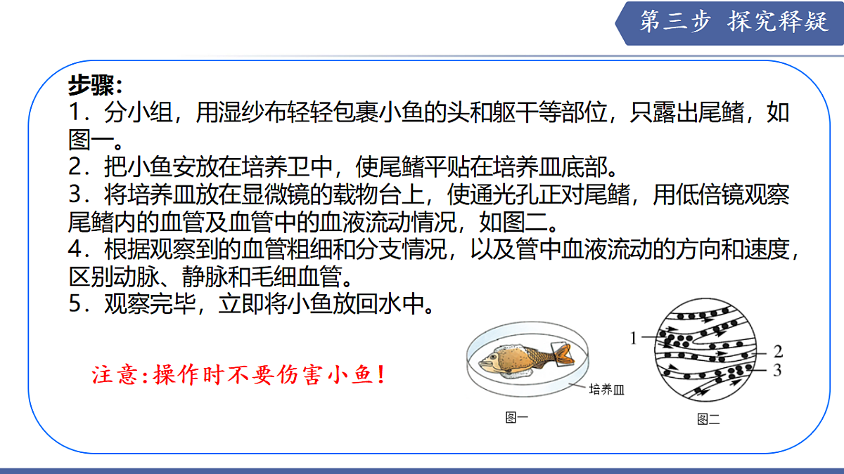 17580842第6页
