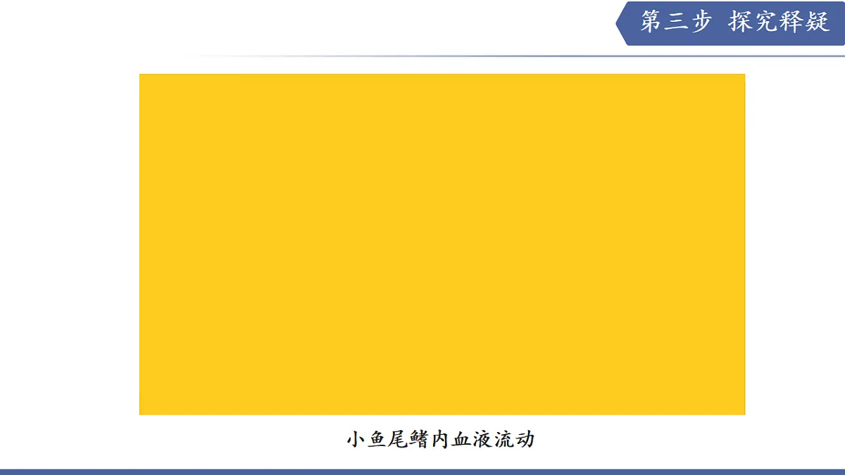 17580842第7页