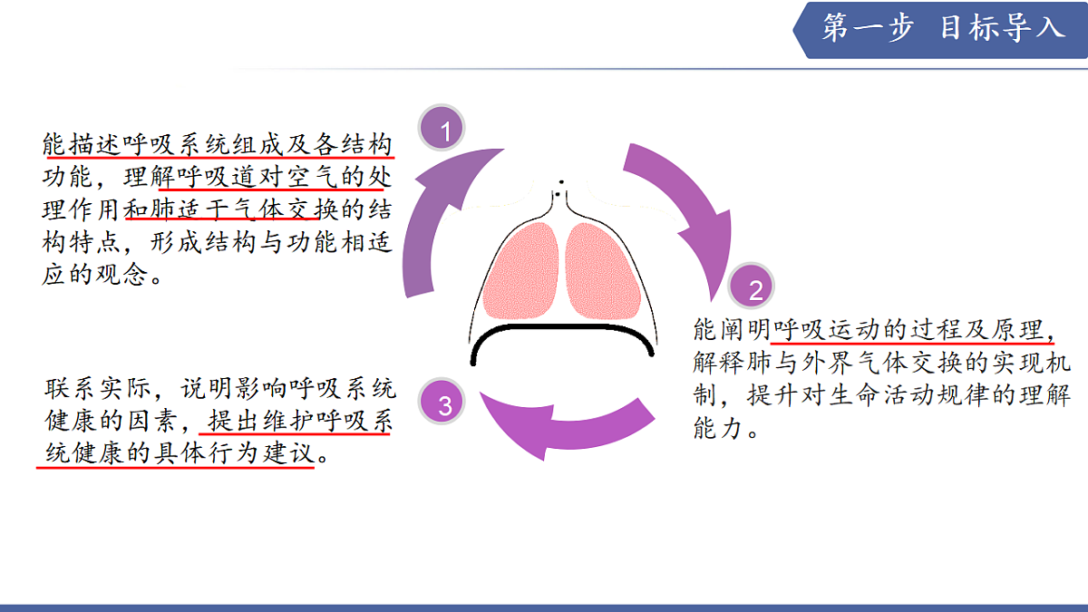 17580843第3页