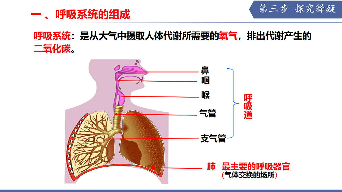 17580843第5页