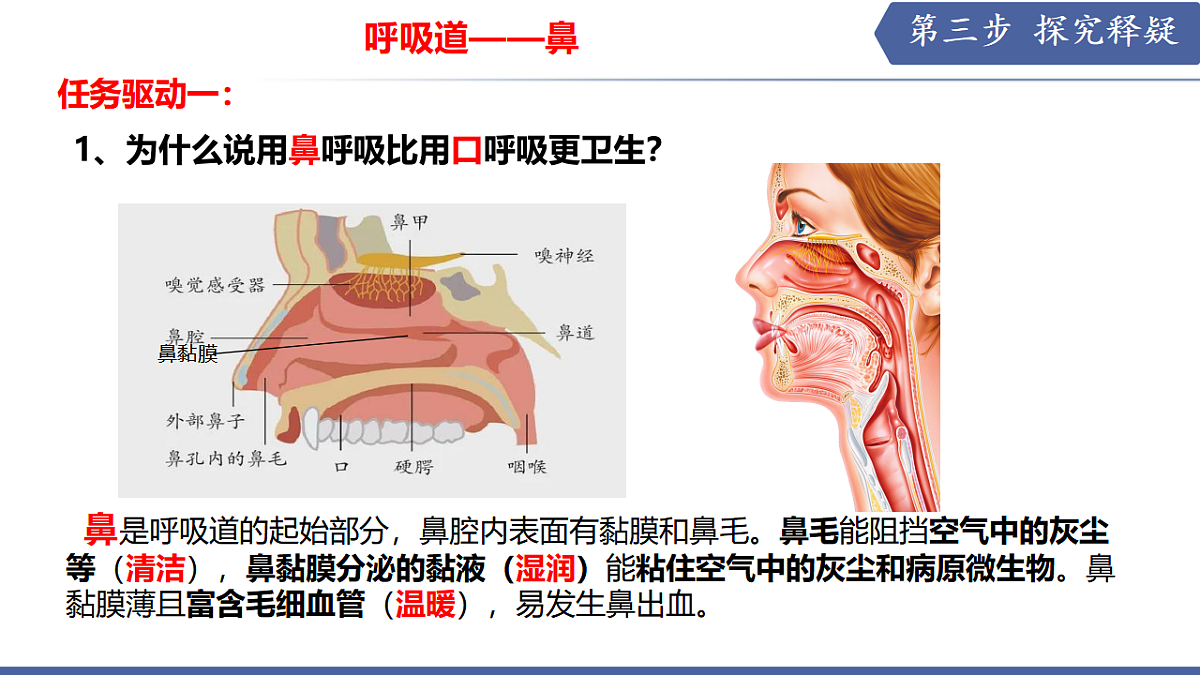 17580843第6页
