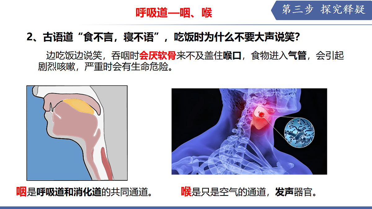 17580843第7页