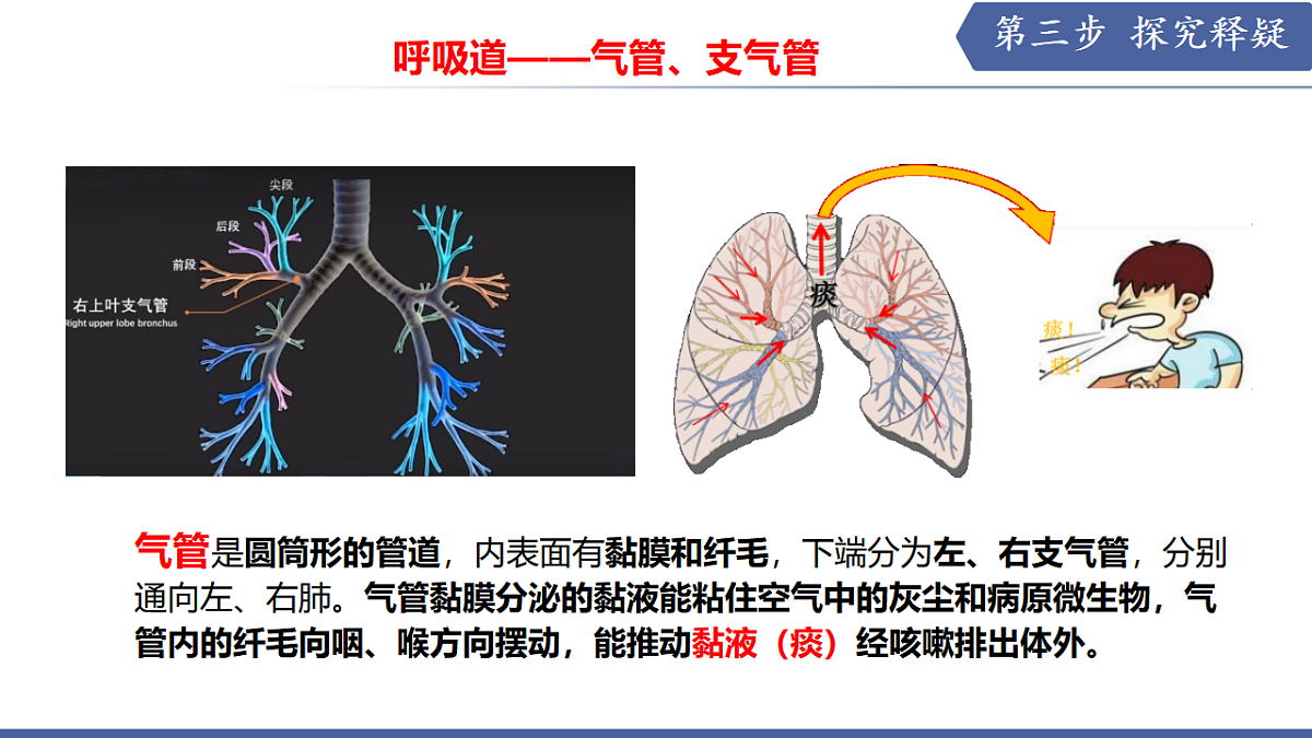 17580843第8页