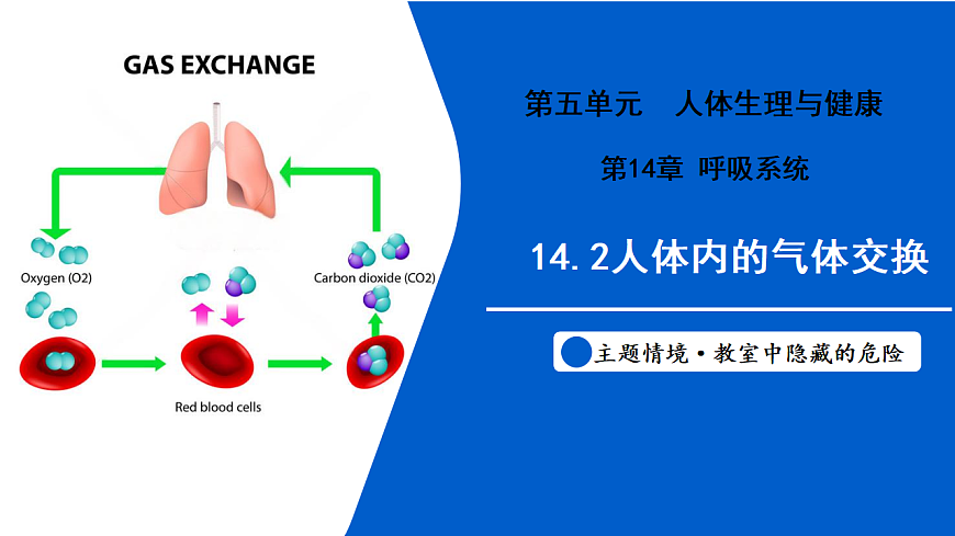 17580844第1页
