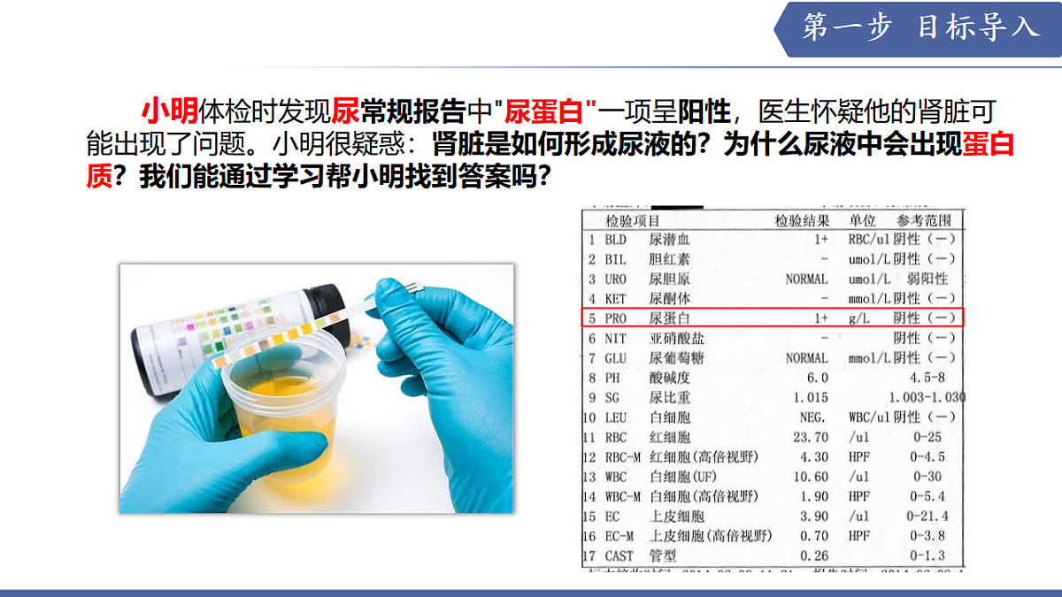 17580845第2页