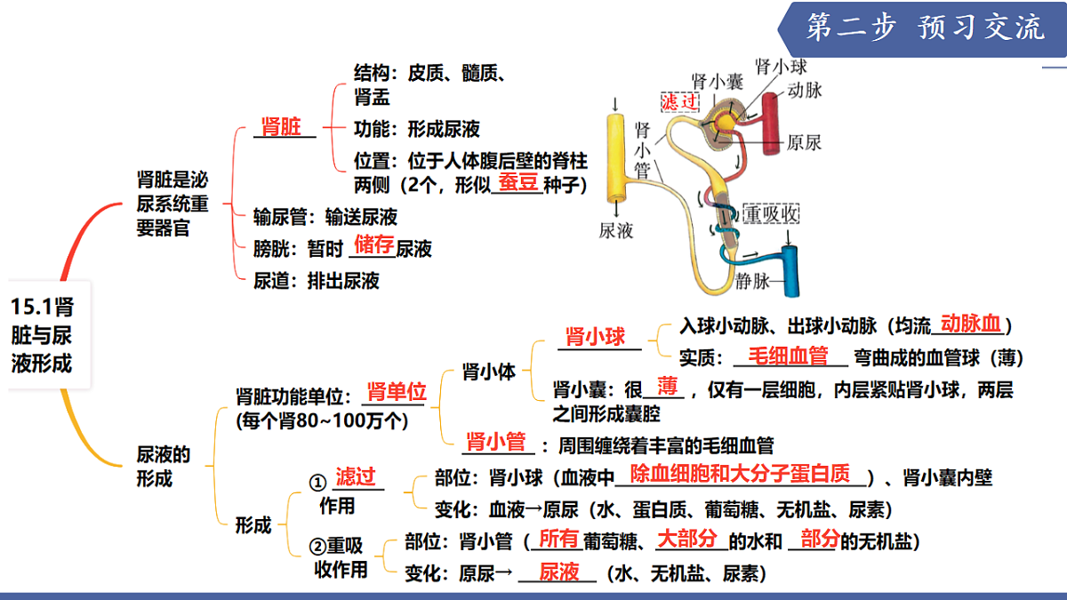 17580845第4页