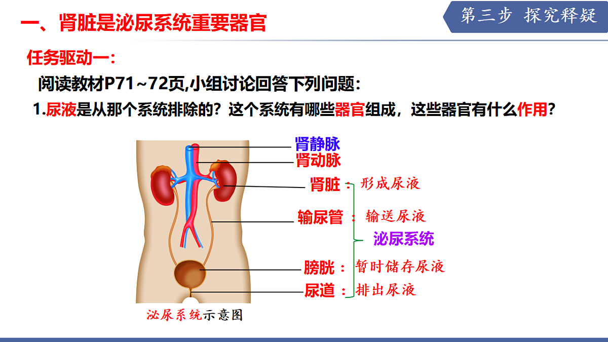 17580845第5页